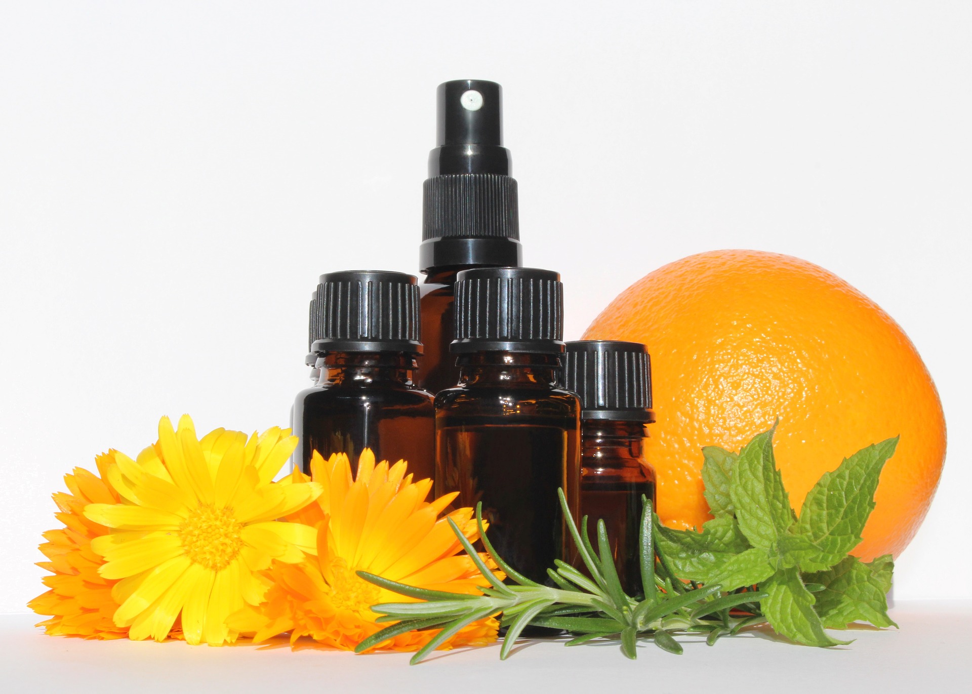 Essential Oils, can they benefit your studying?