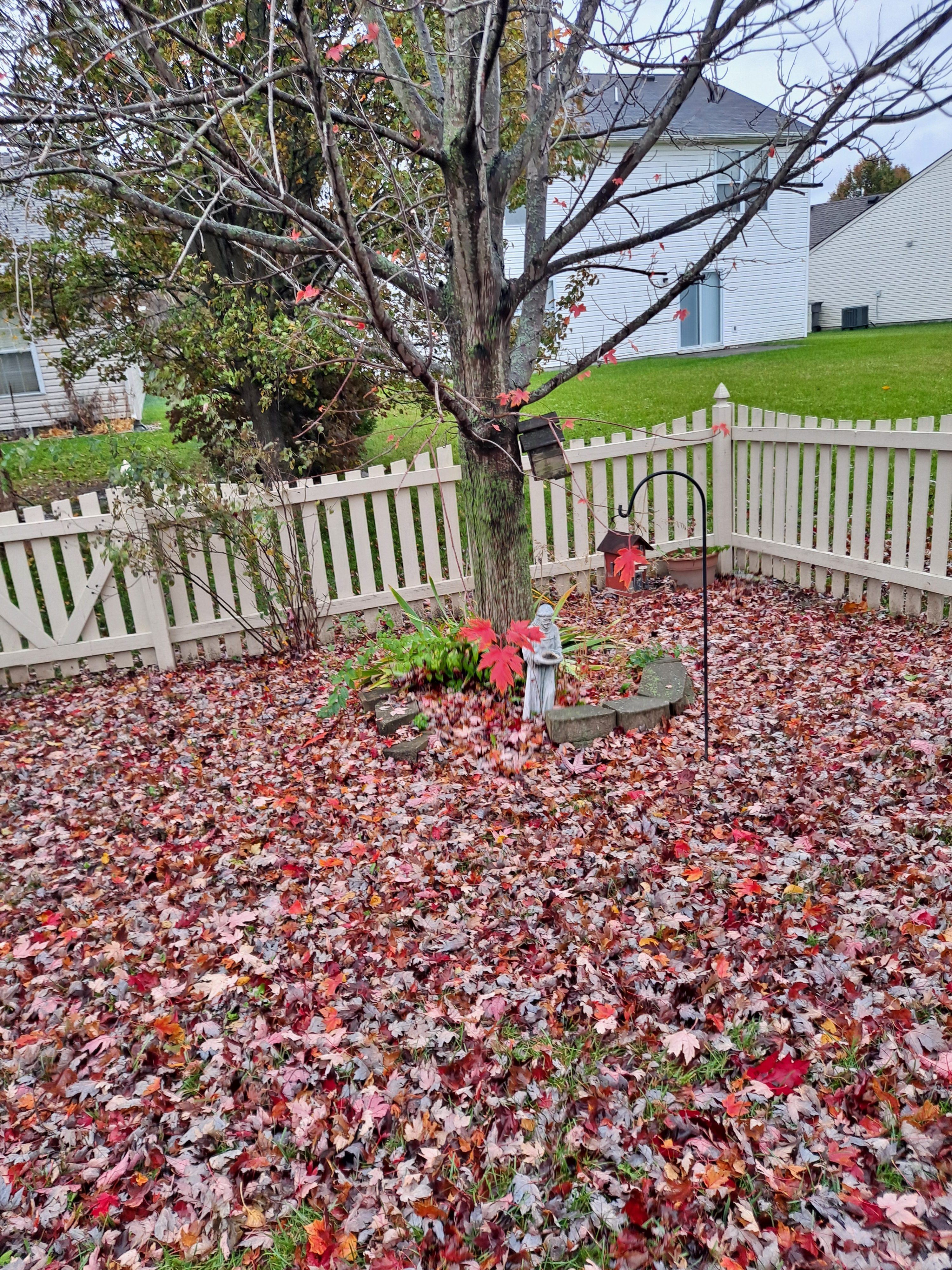 Weather has been nice here!