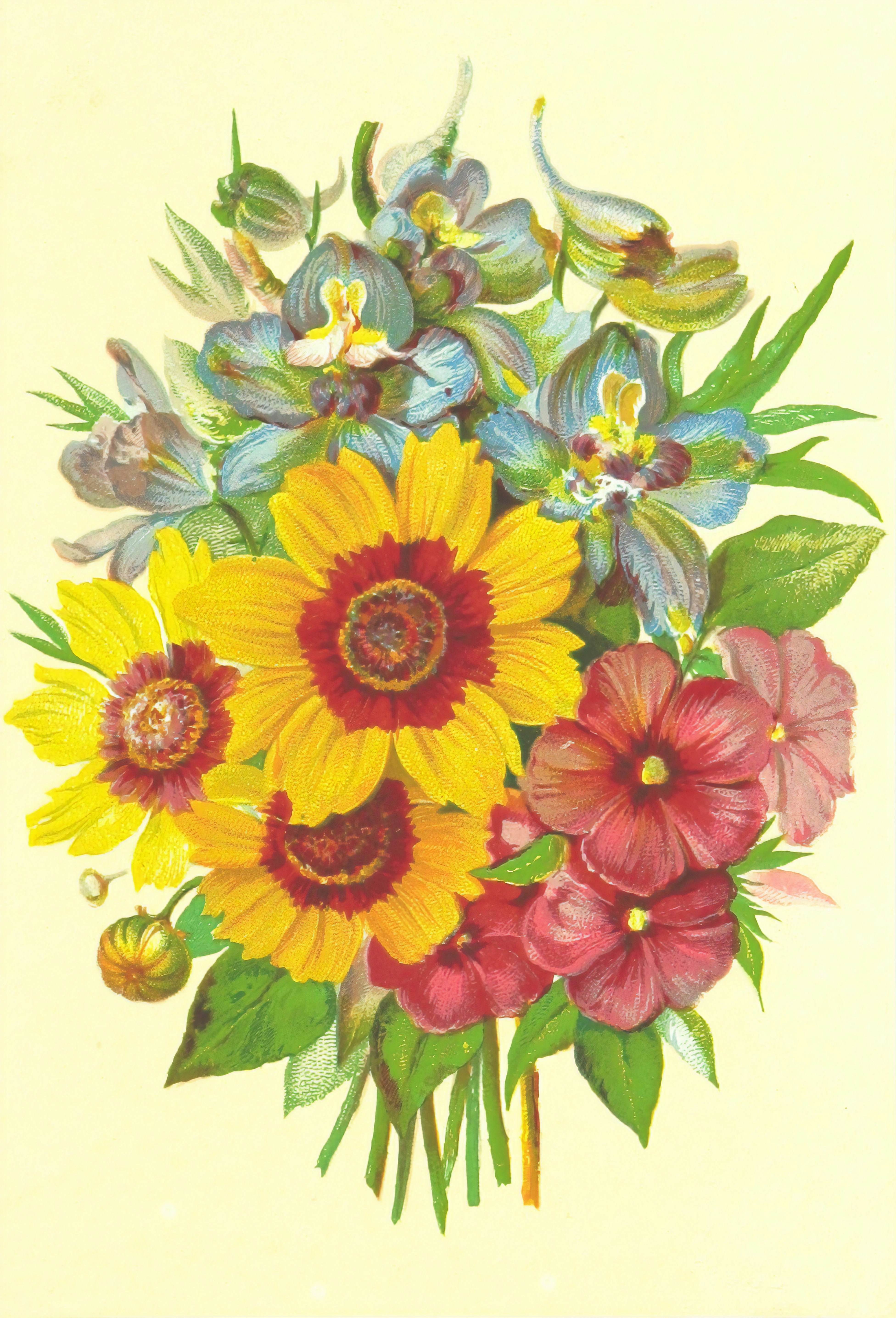 Thank you for a wonderful Mother’s Day